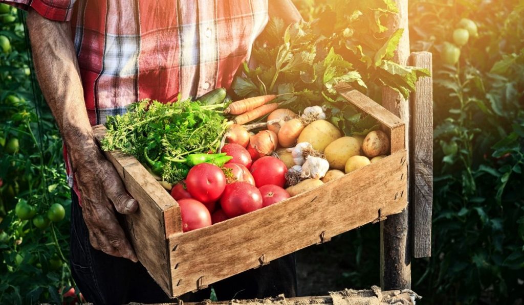 cei care nu oferă calitatea maximă la cel mai scăzut preţ vor ieși repede din cercul celor care pot livra