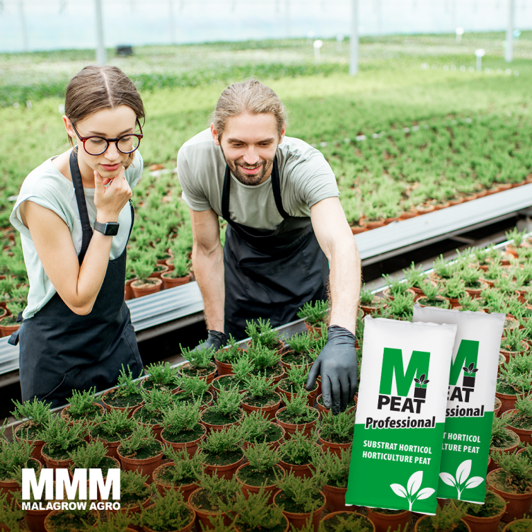 Membrii familiei de produse M-Peat asigură un mediu de dezvoltare fiabil, cu structură omogenă și capacitate optimă de ventilație a aerului și reținere a apei.