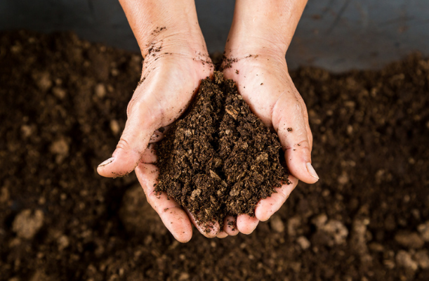 M-Peat – noutăți și întrebări frecvente