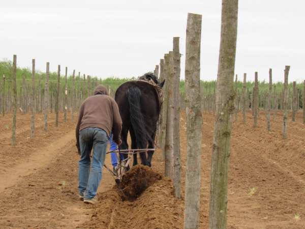 Szerves anyagok bedolgozása