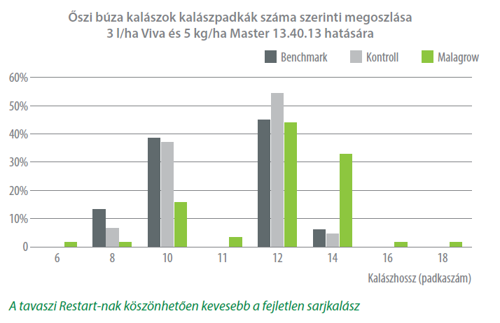 A tavaszi Restart-nak köszönhetően kevesebb a fejletlen sarjkalász
