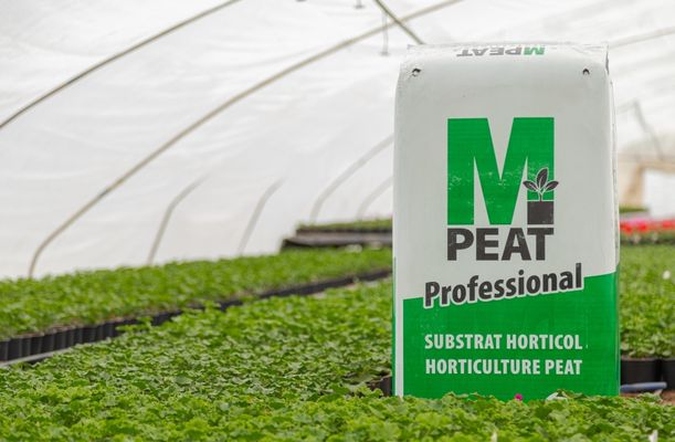 M-Peat substrat horticol (1)